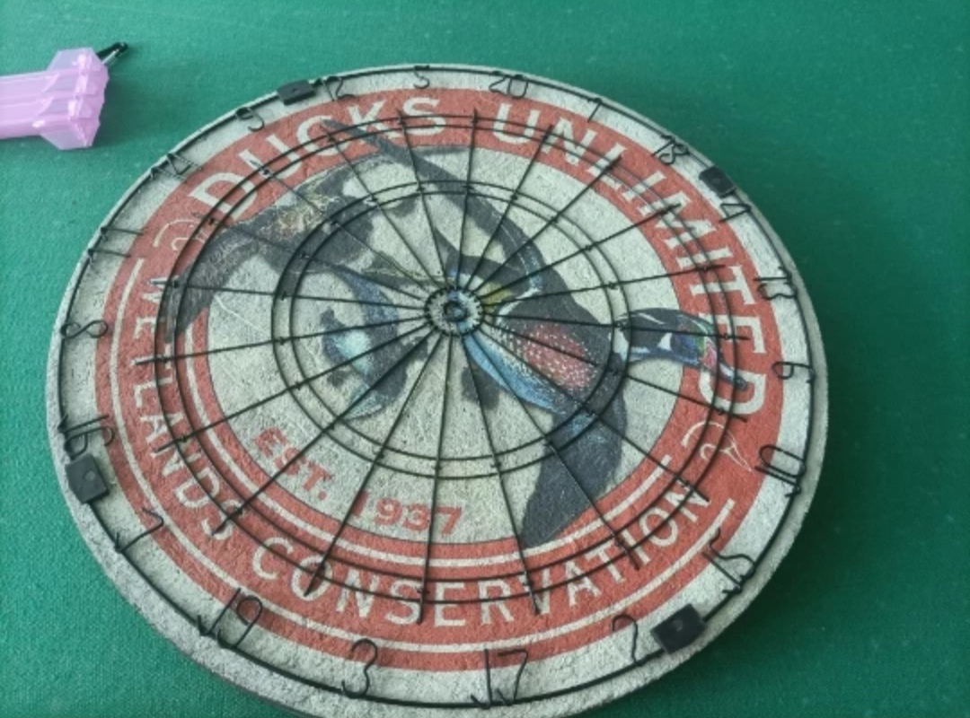 Custom 18-inch Bristle Dartboard 1