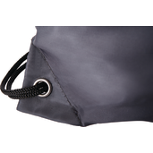 Oriole Drawstring Bag 17