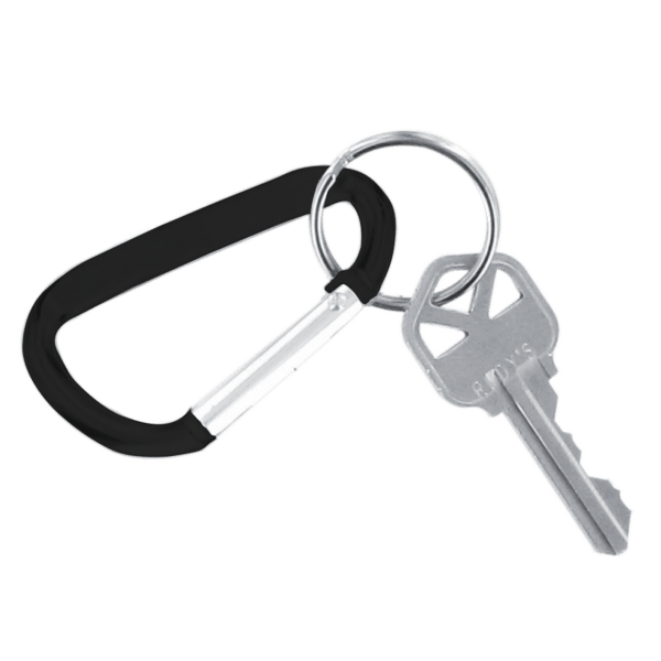 Carabiner Keychain 8