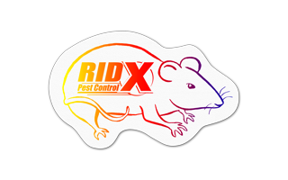 Rat/Mouse Vinyl Jar Opener 90