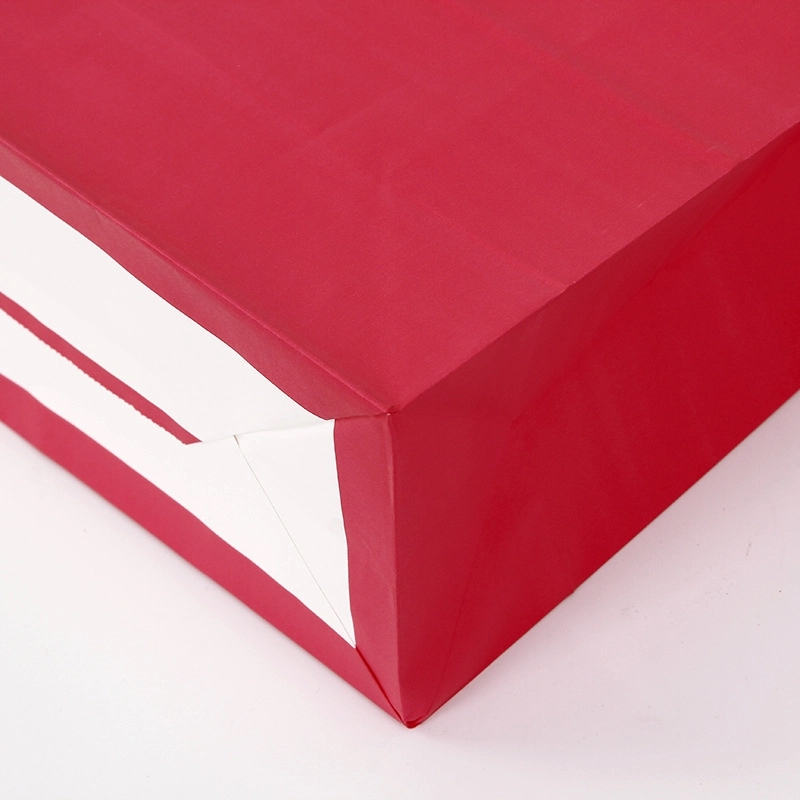Colored Kraft Bags 4