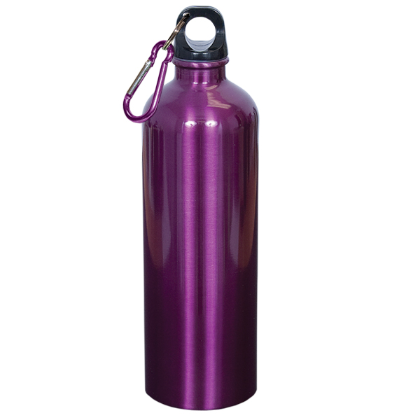 750Ml (25 Fl. Oz.) Stainless Steel Water Bottle 17
