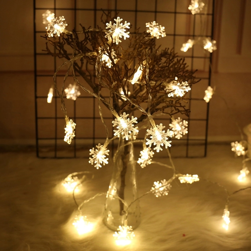 LED String Light 2