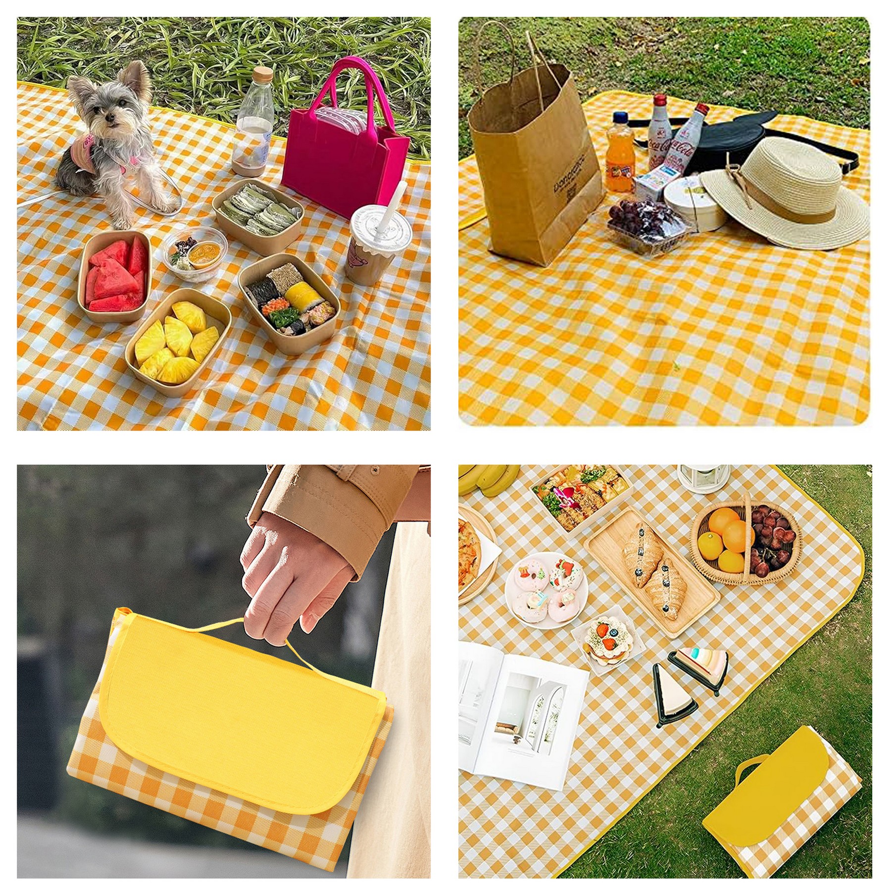 Picnic Mat 2