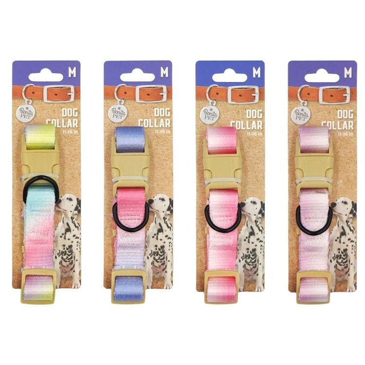 Ombre Dog Collars - Medium 2