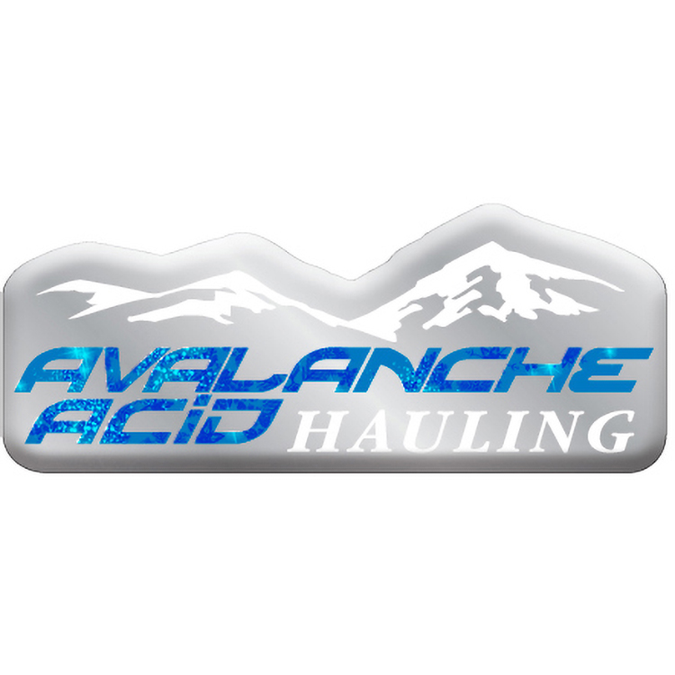 3 Sq. Inch Custom 4 Colour Process Chrome Polyester Domed Decal