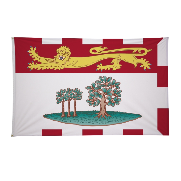 5' x 8' International Flags 100