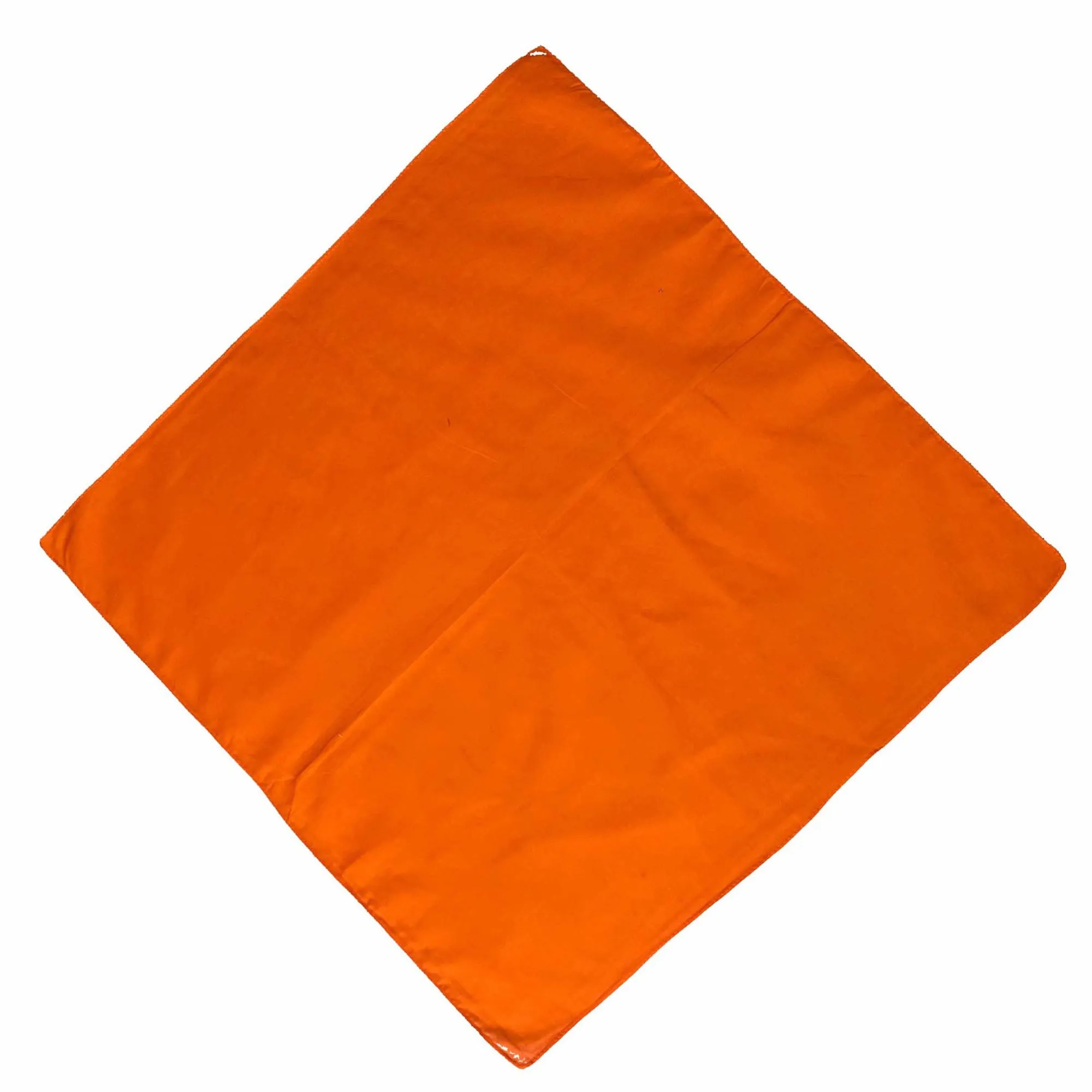 22" Cotton Bandanna 2
