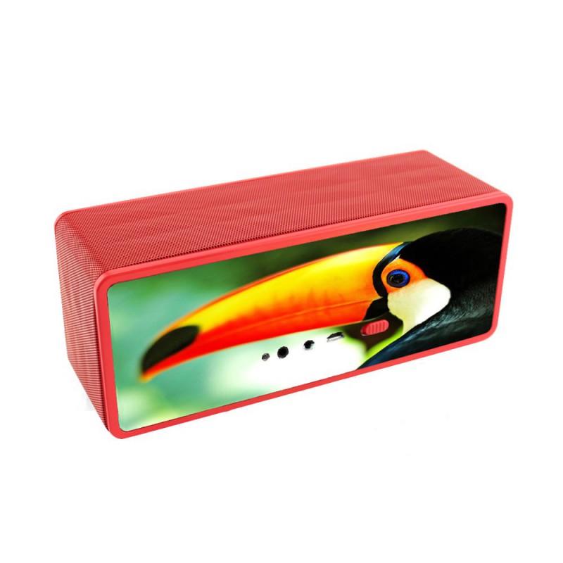 Toucan Wireless Speaker 4