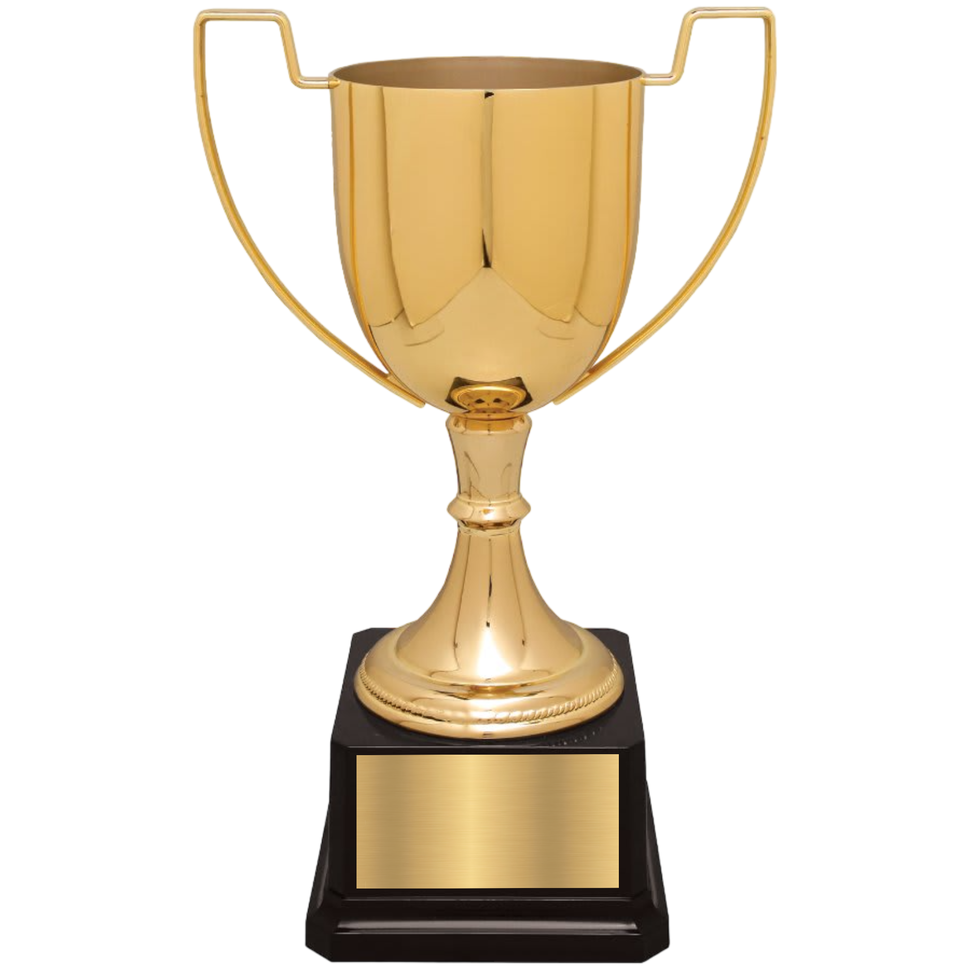 10 1/2" Completed Zinc Cup Trophy on Plastic Base 2