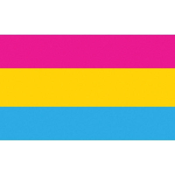 Pansexual Stick Flag 2
