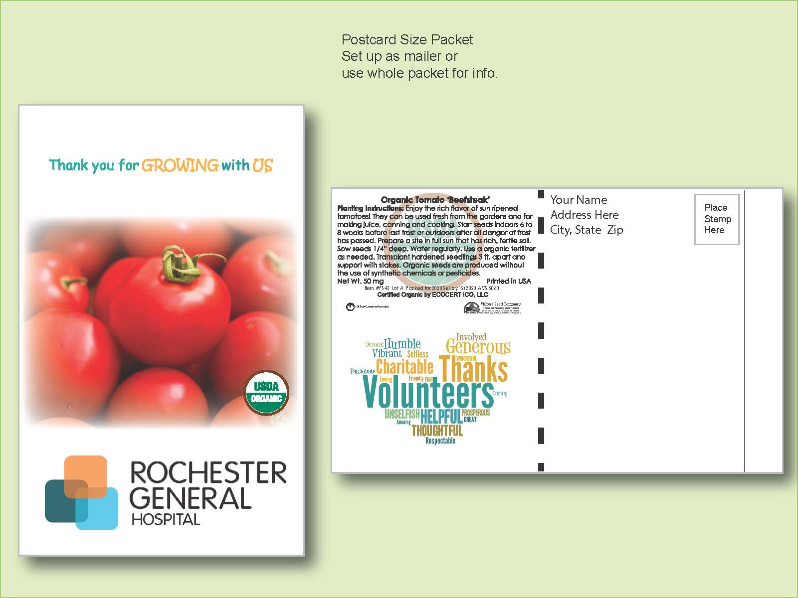 Organic Tomato Beefsteak Seed Packet - Postcard Mailer Size 4" x 6.5" 2