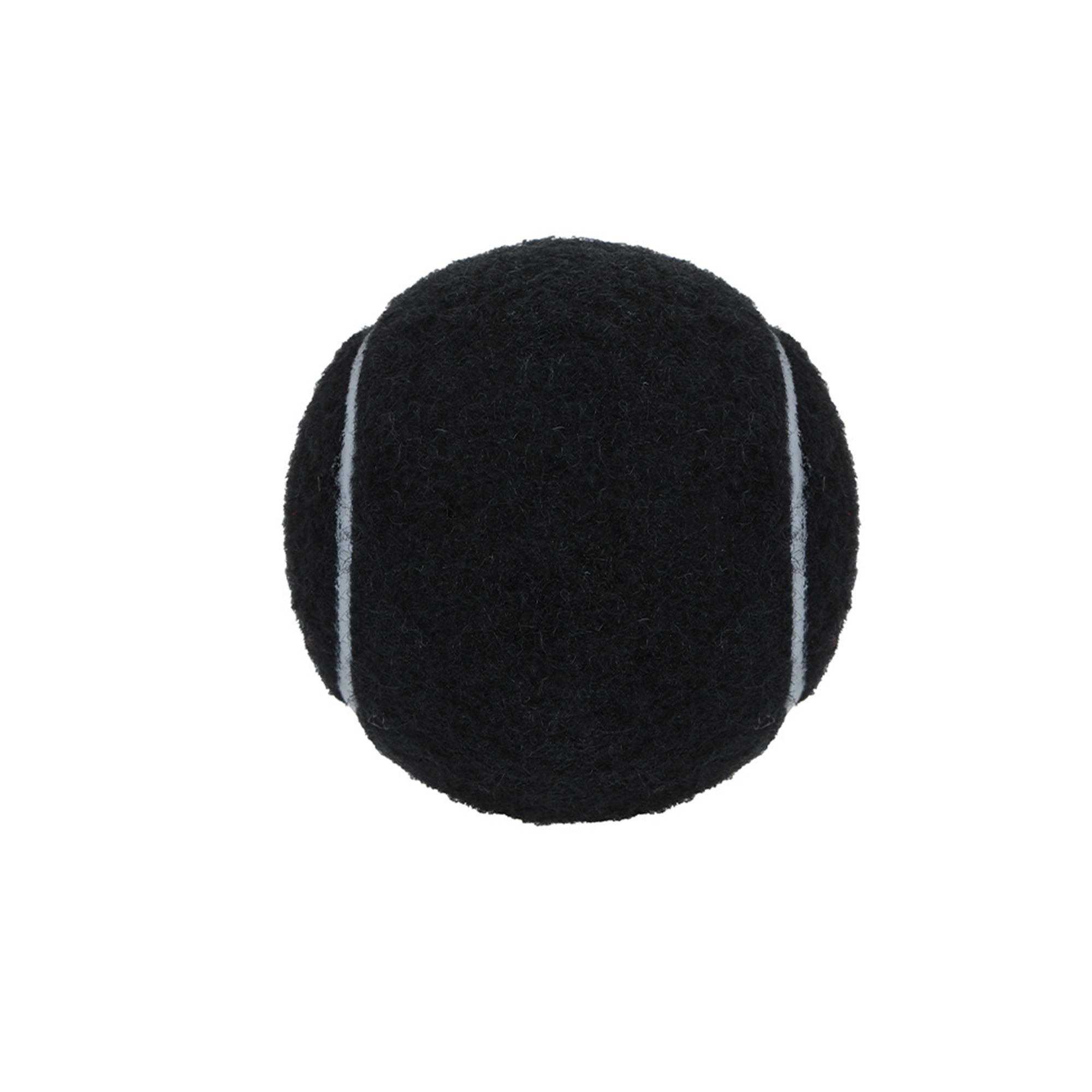 Pet Training Tennis Ball 2.5" Diameter 6