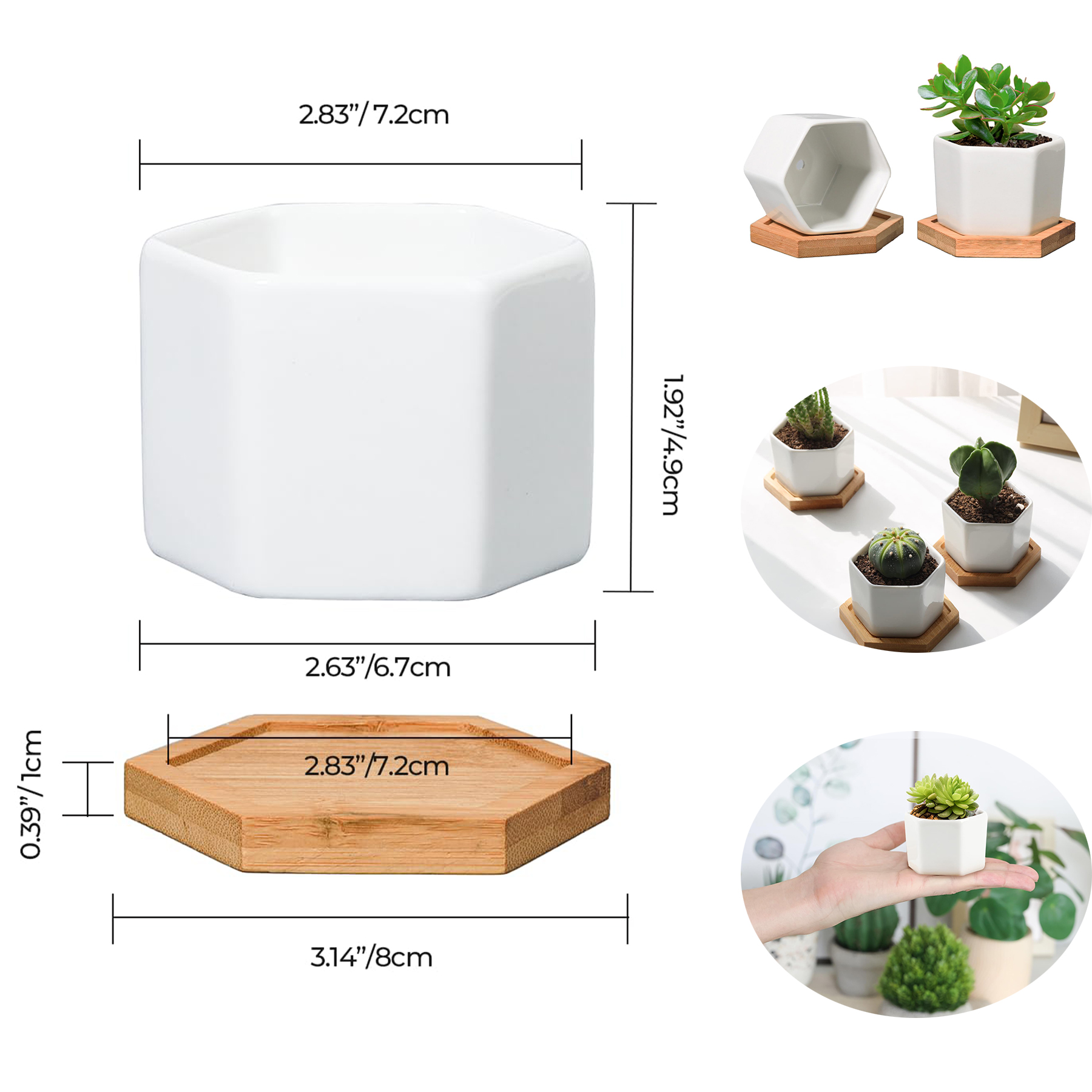 Small White Succulent Planter Pots