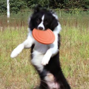 Double Plastic Pet Bowl 10