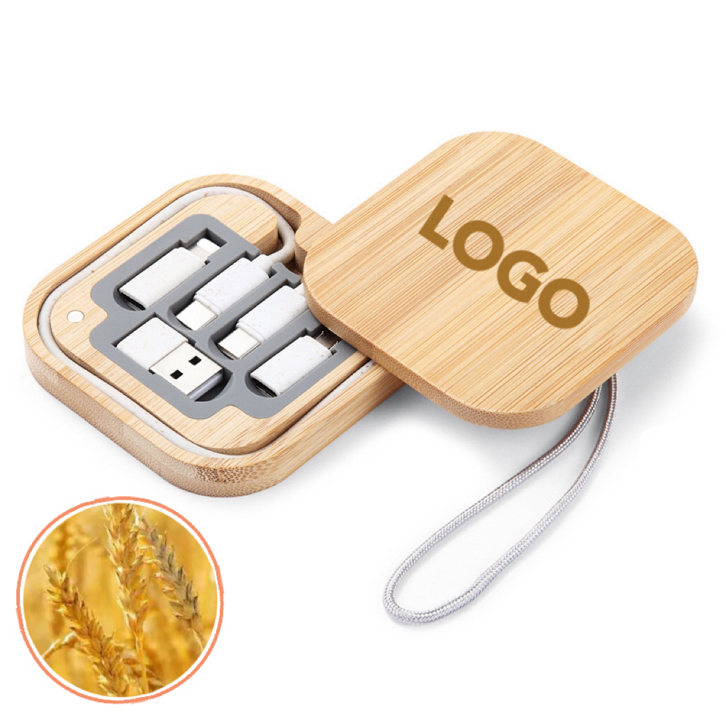 MOQ 3 pcs Wheat Straw USB Adapter Kit 3