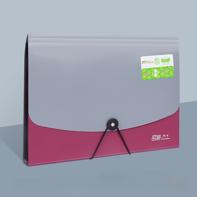 PP Plastic 13-Pocket A4 File Organizer 2