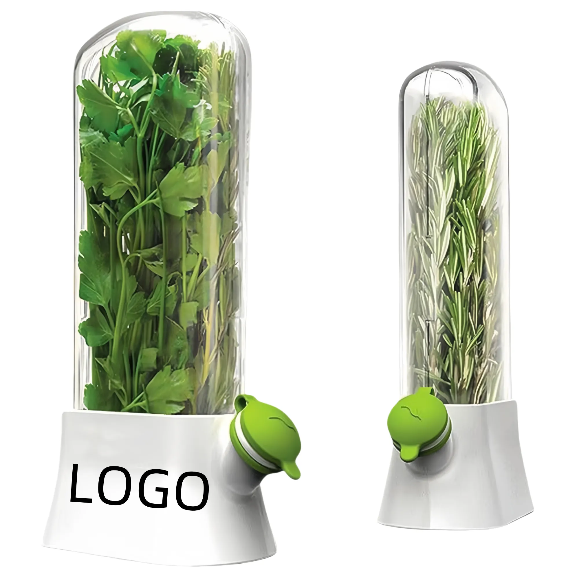 Vegetable Preservation Box 1