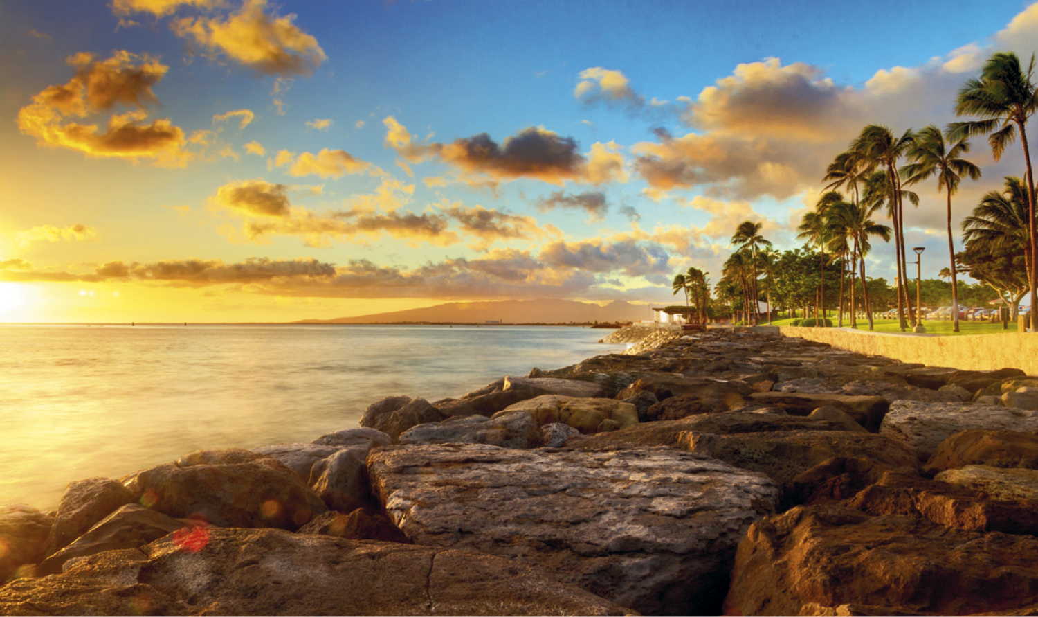 Triumph® Calendars Memo Appointment with Picture