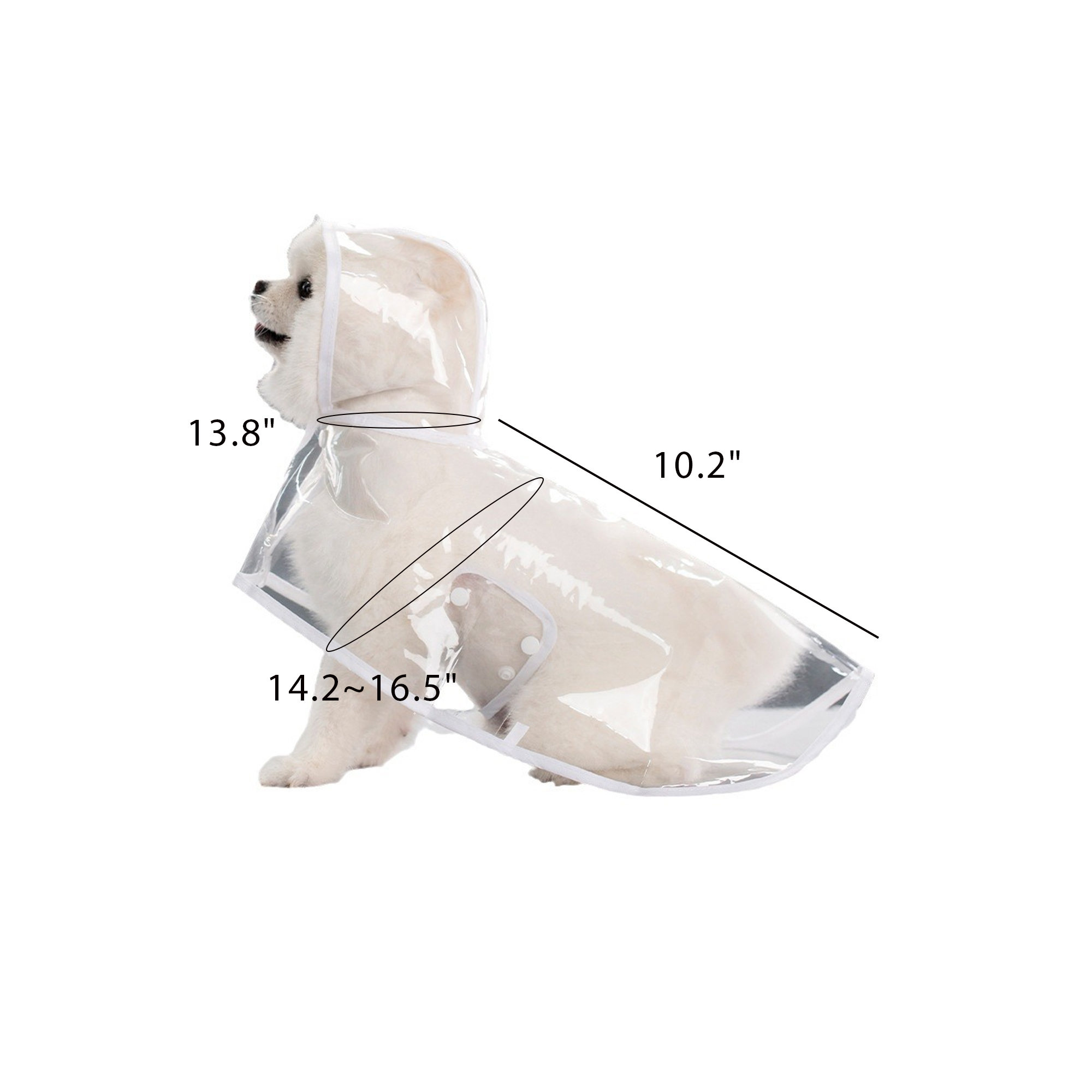 Transparent Pet Raincoat 6