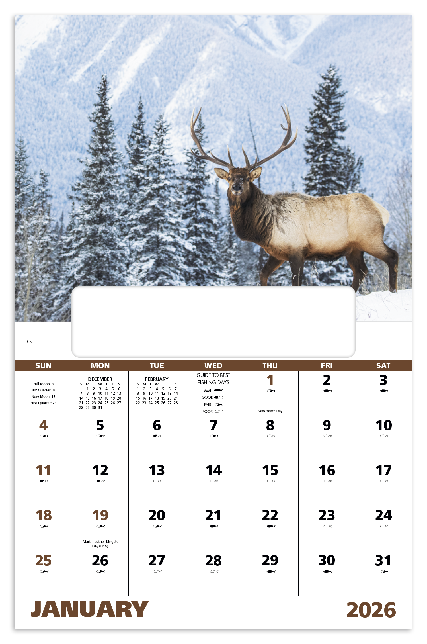 Good Value™ Wildlife Portraits - Window Calendar 28
