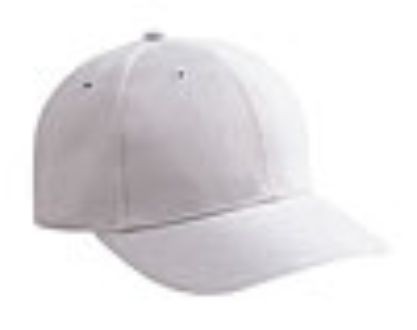 Embroidered Brushed Bull Denim Caps 6