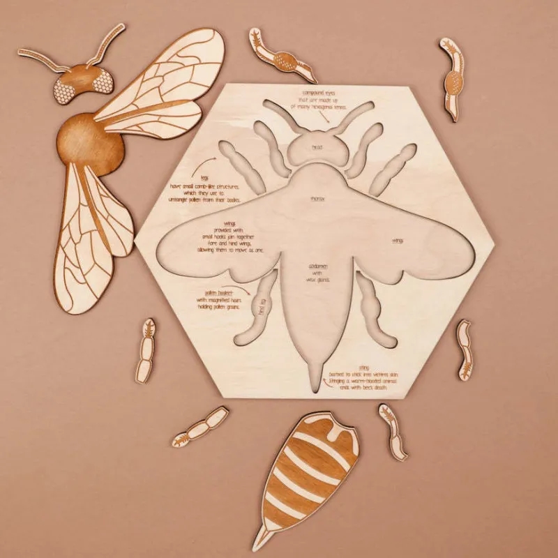 Bee Puzzle Educational Toy 8