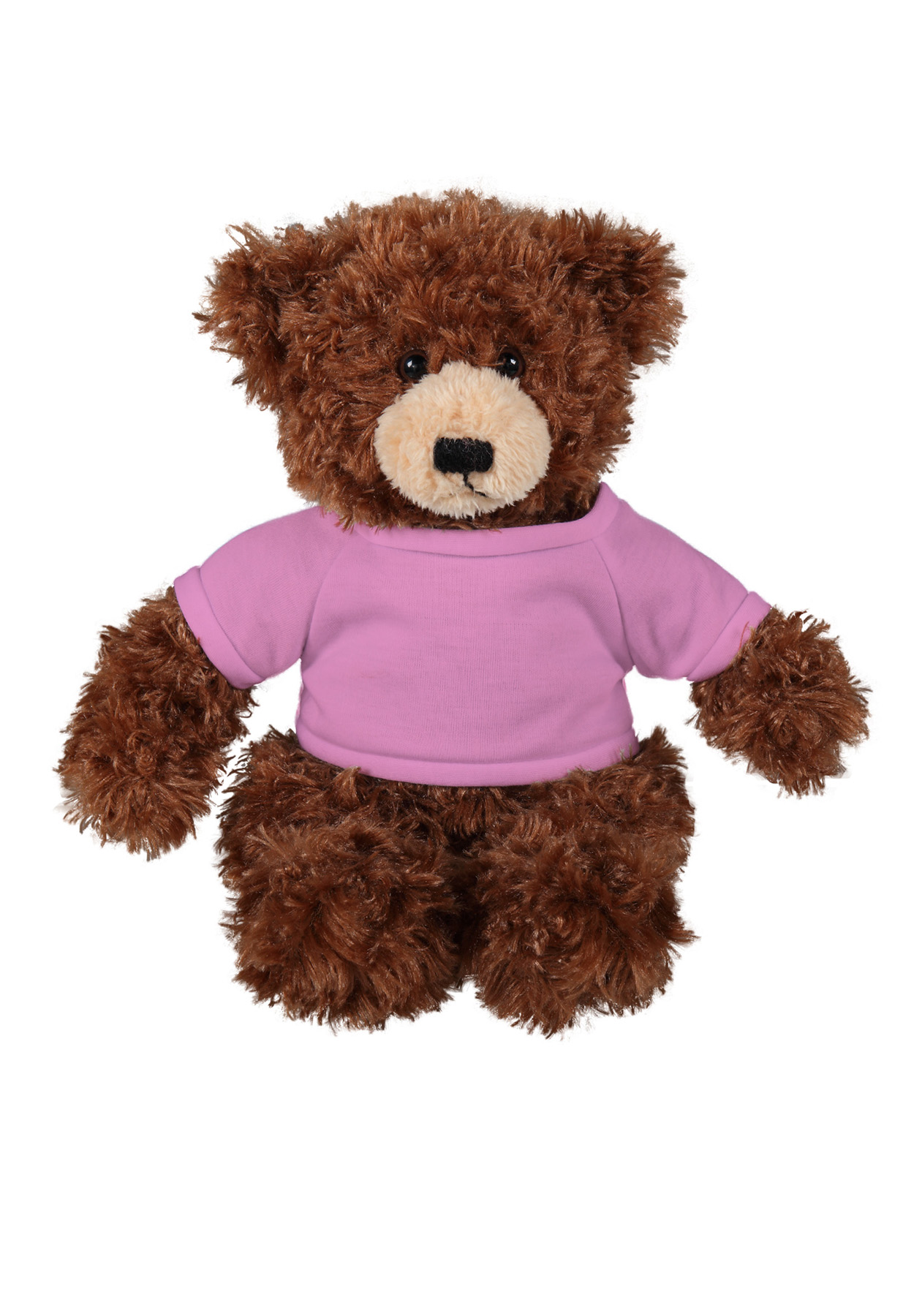 soft plush Chocolate Brandon Bear with t-shirt 17