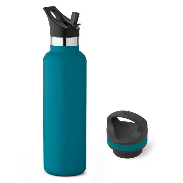 20 oz Basecamp Mesa Tundra Bottle with Screw Top and Flip-Top Straw Lid 154