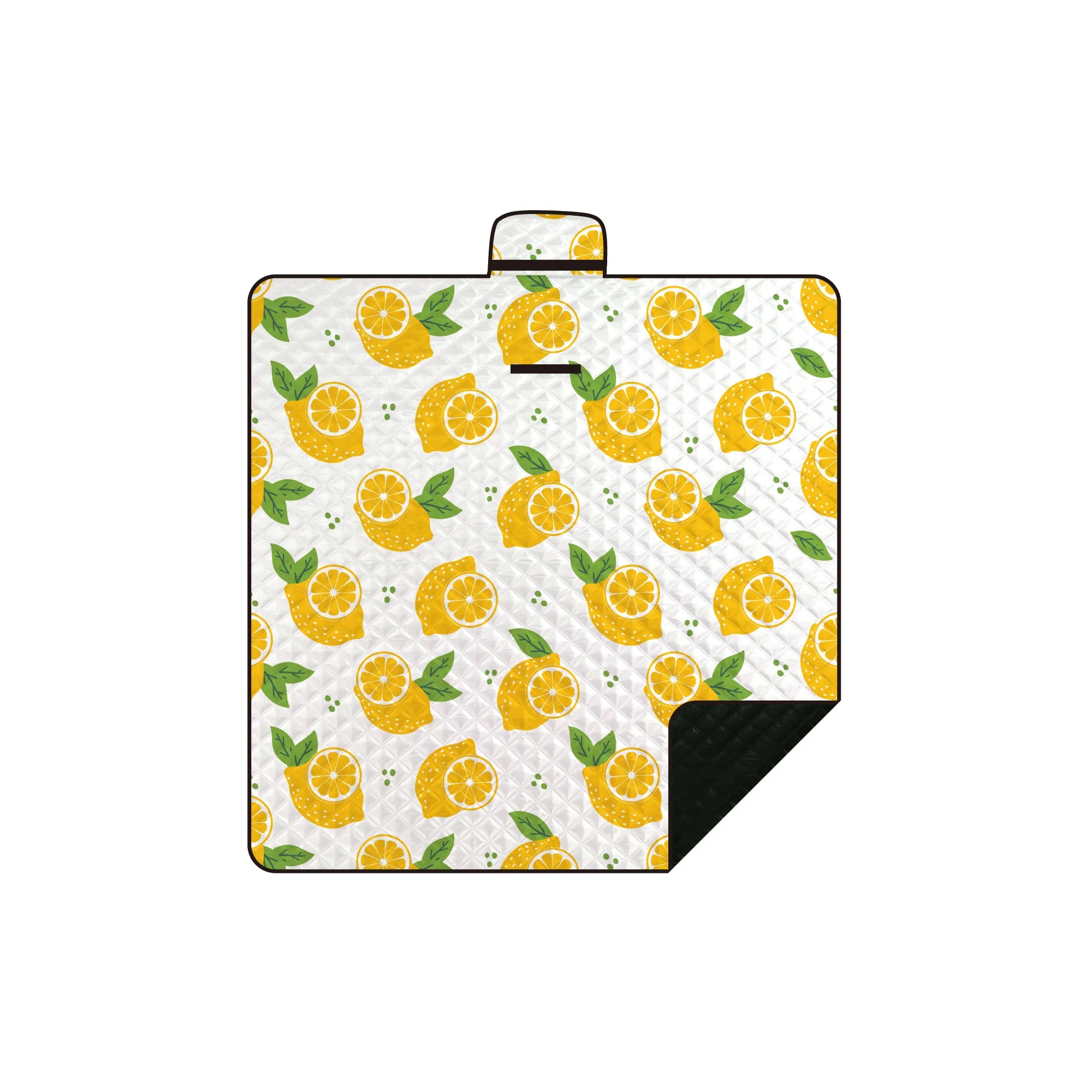 Waterproof Picnic Mat 23