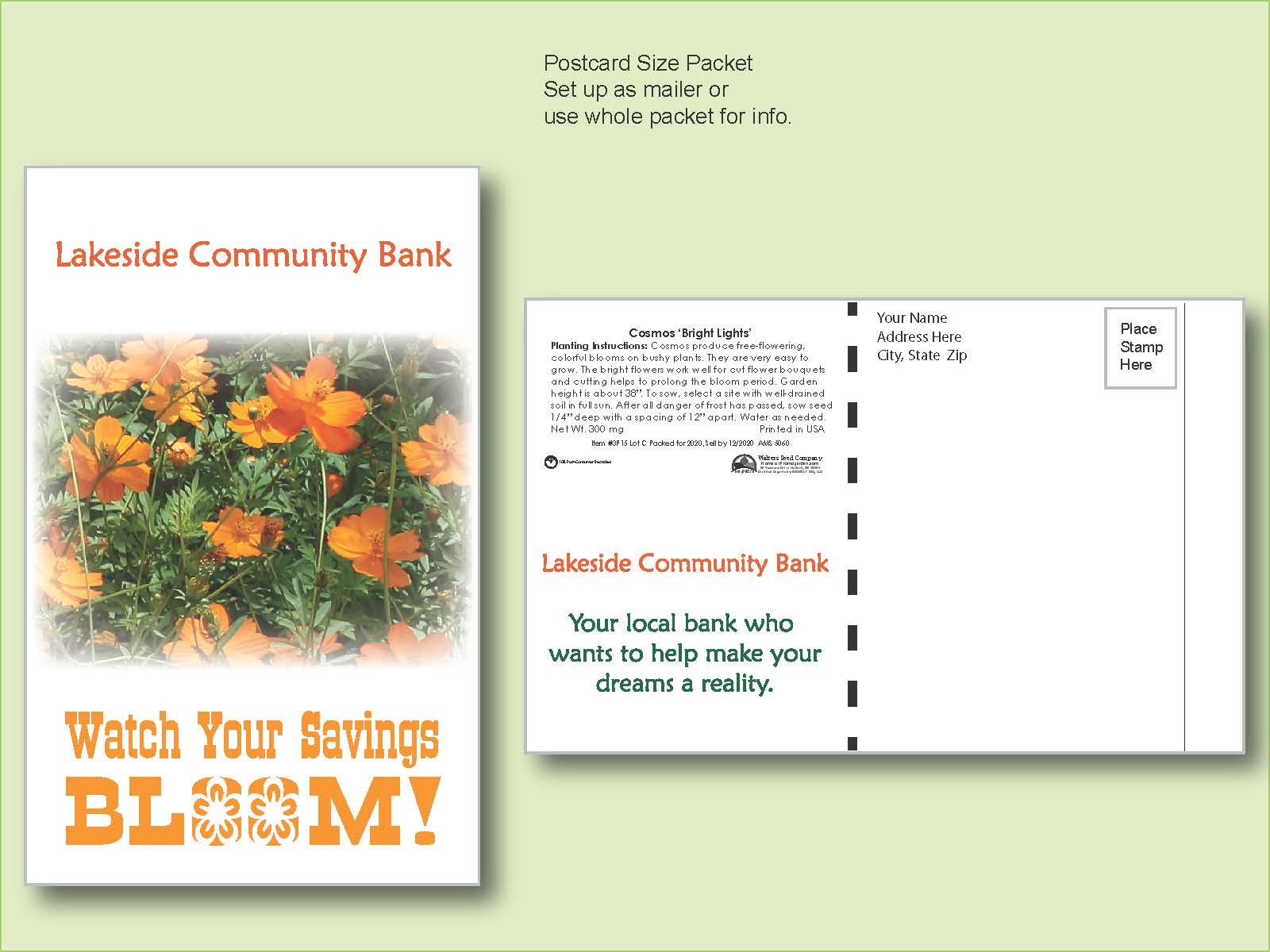 Cosmos Bright Lights Flower Seed Packet - Postcard Mailer Size 4" x 6.5" 1