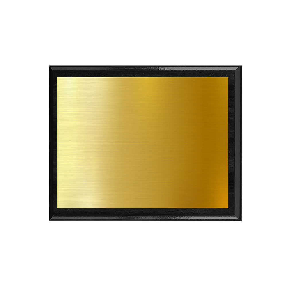 Heat infused Silver or Gold Plaque Award 2