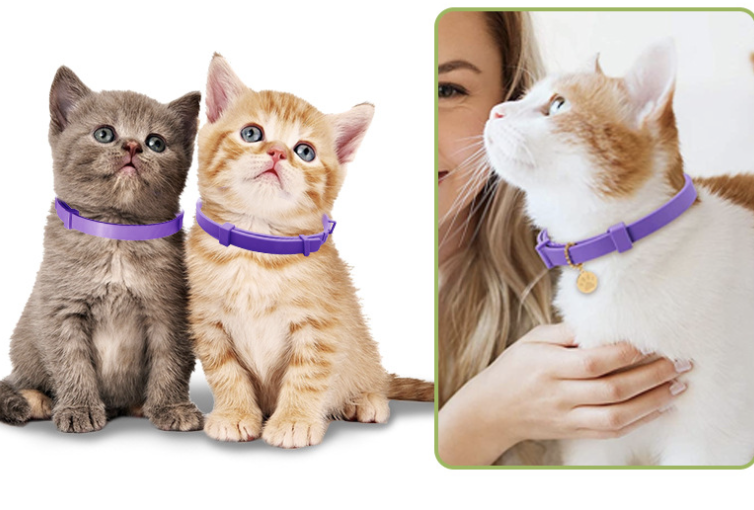 Calming Collar for Cat 9