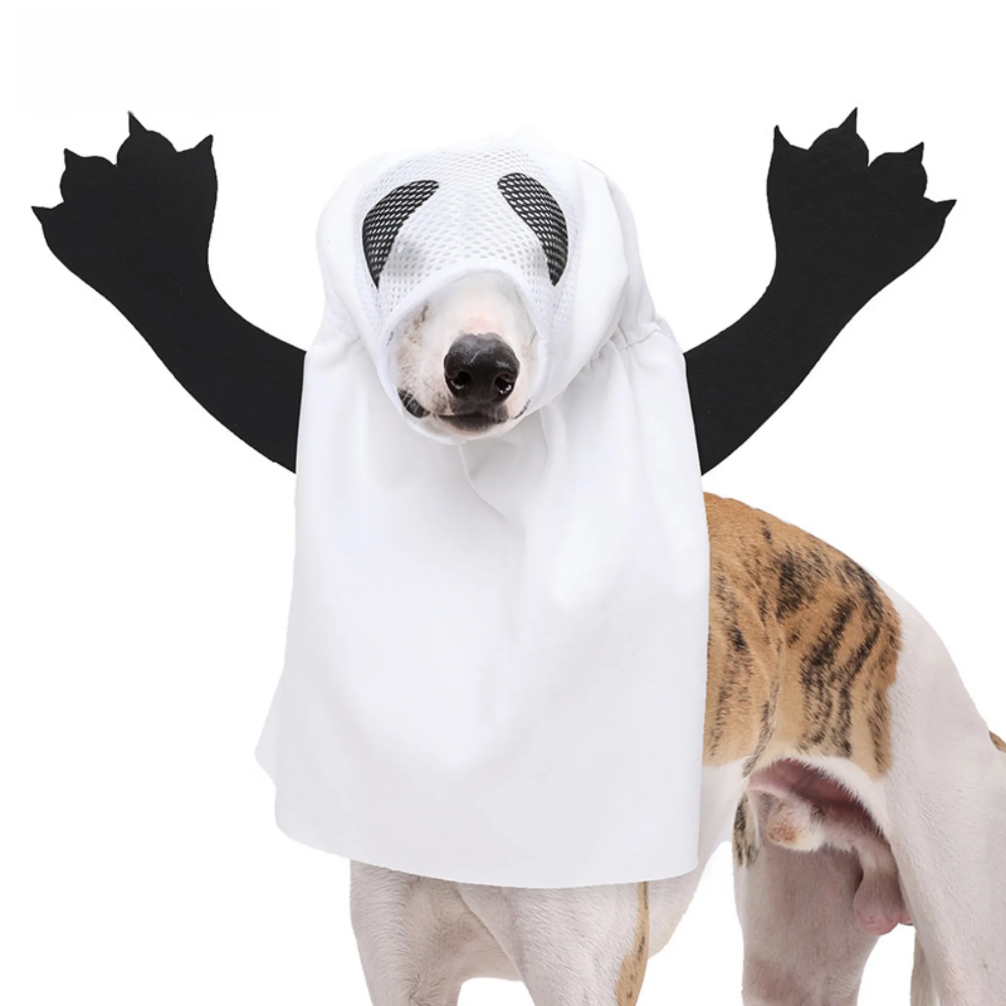 Pet Halloween ghost transformation costume 6