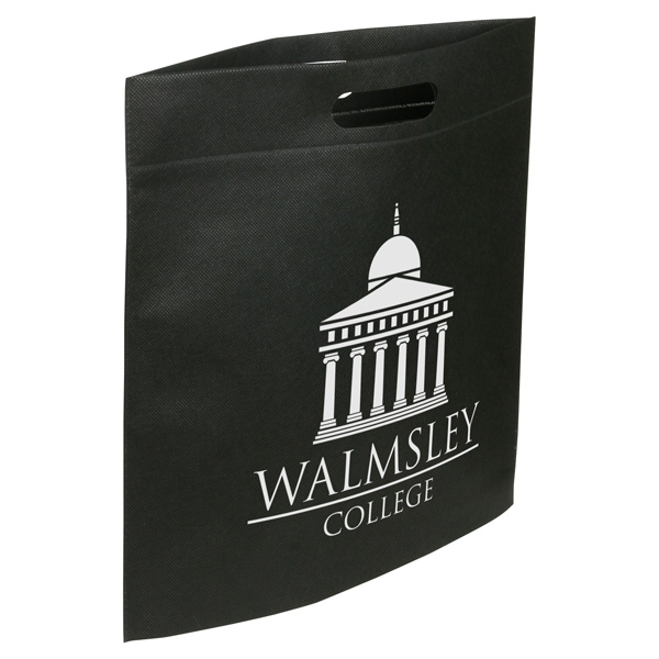 Echo Large Non-Woven Tote 24