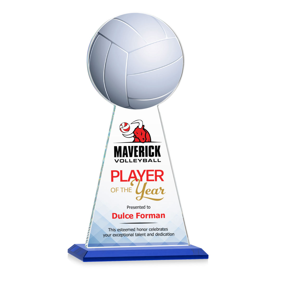 Edenwood Volleyball VividPrint™ Award - Blue 3