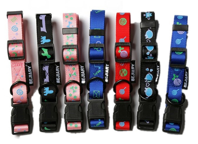 Dog and Pet Collar 6