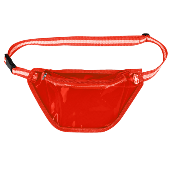 Ann Arbor Transparent Waist Pack 11