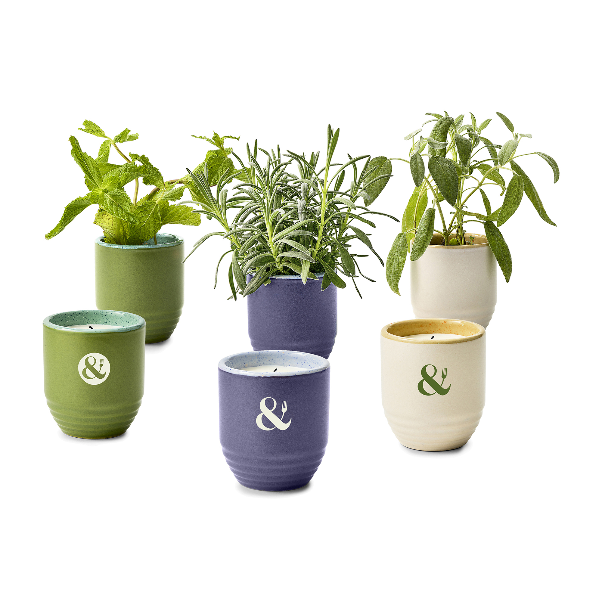 Modern Sprout® Garden Vibes Candle/Planter 23