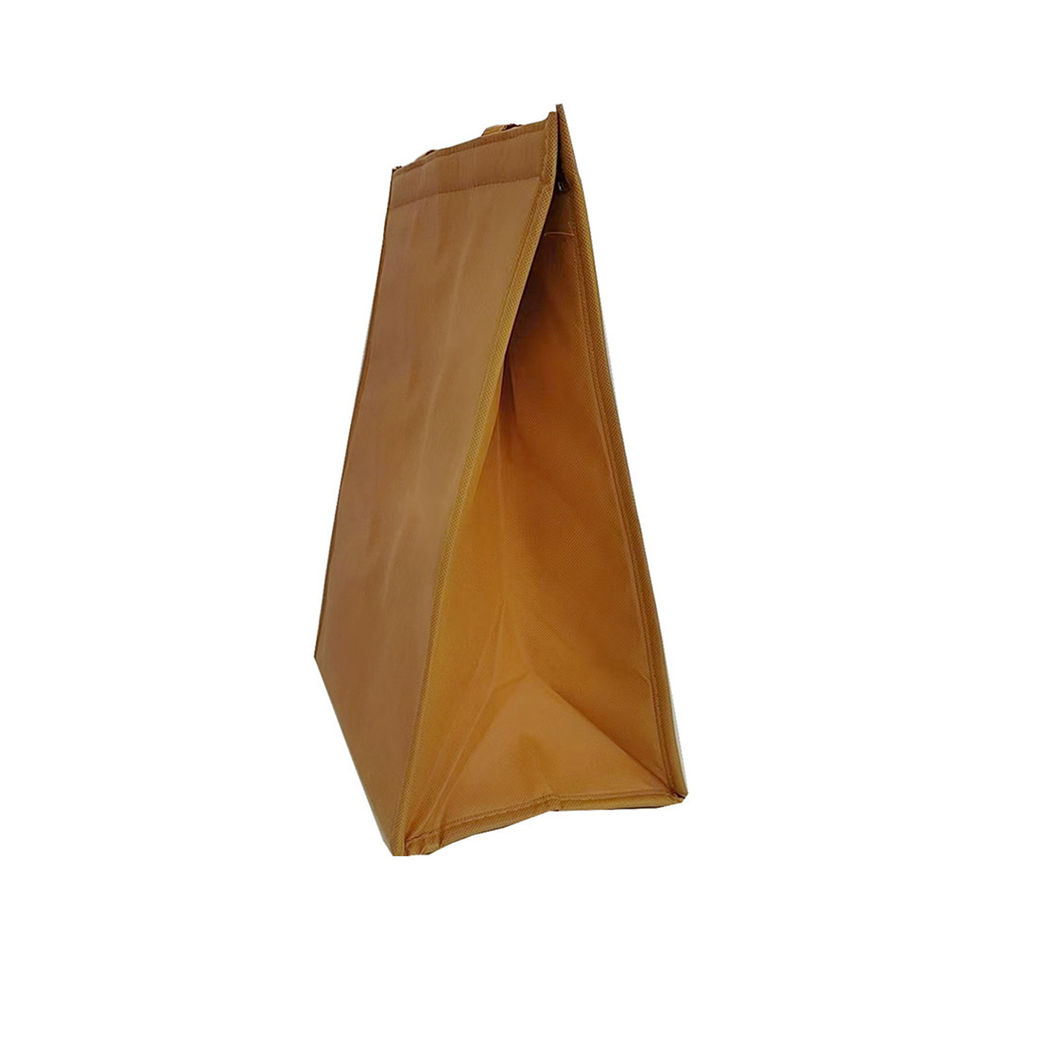 Picnic Insulation Cooler Bag 1