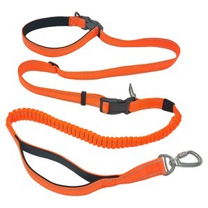 5 In 1 Hands Free Dog Leashes With Pockets 10