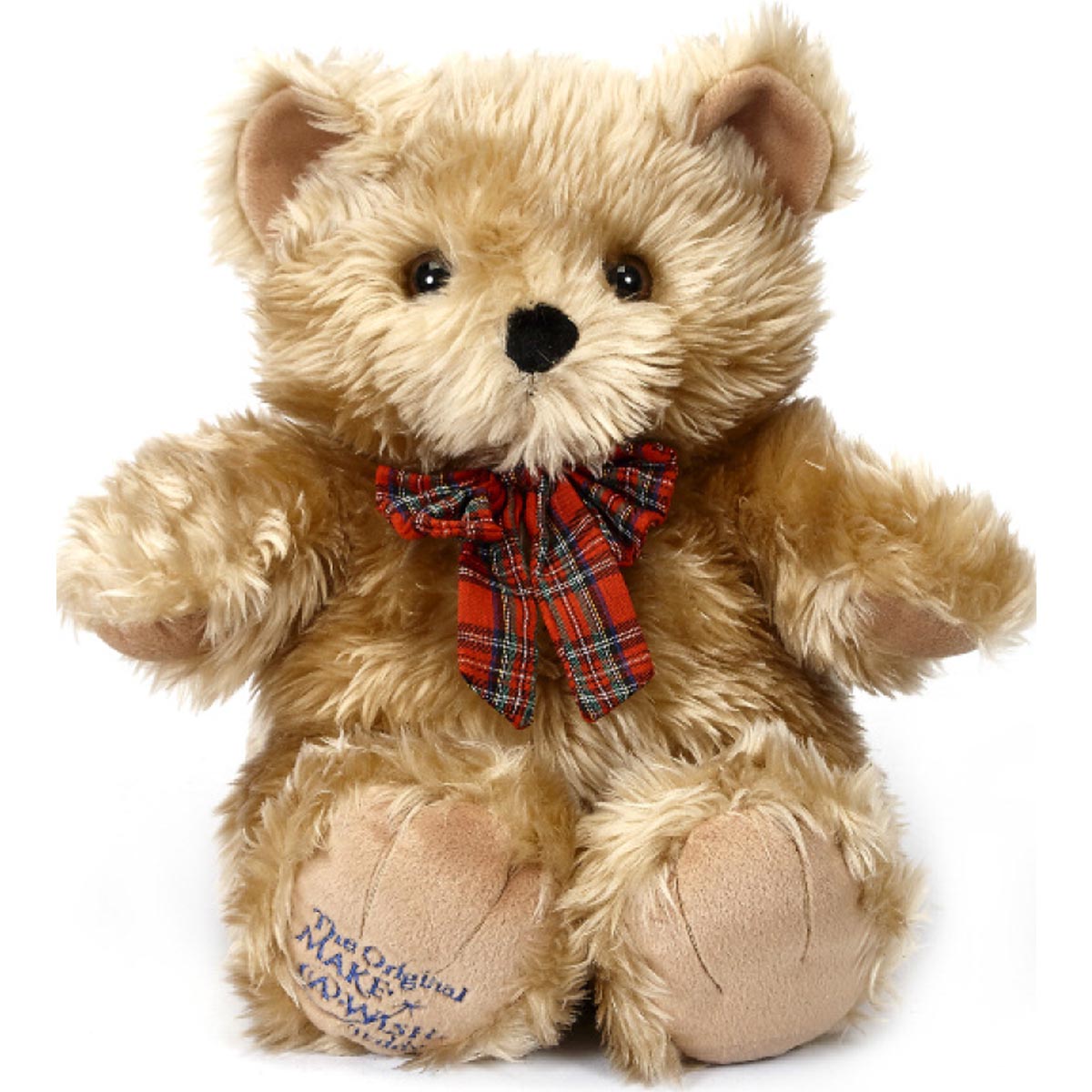 20" Make A Wish Bear 2