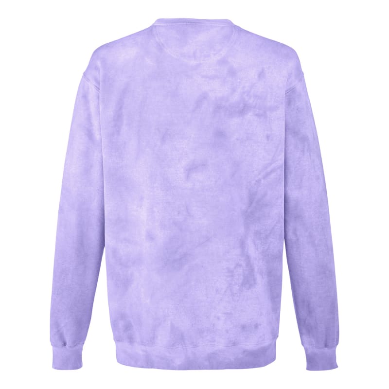 Comfort Colors Adult Color Blast Crewneck Sweatshirt 22
