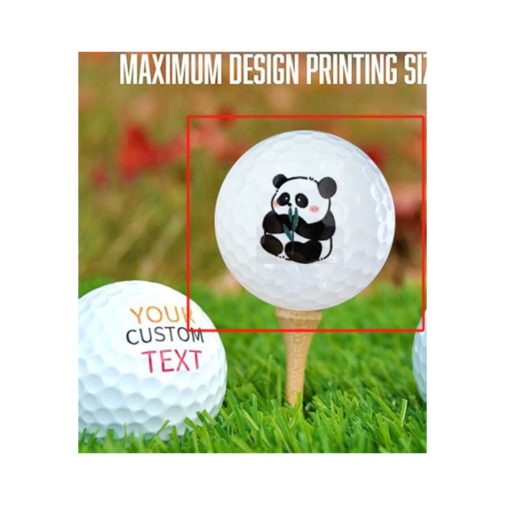 Professional Golf Ball 5