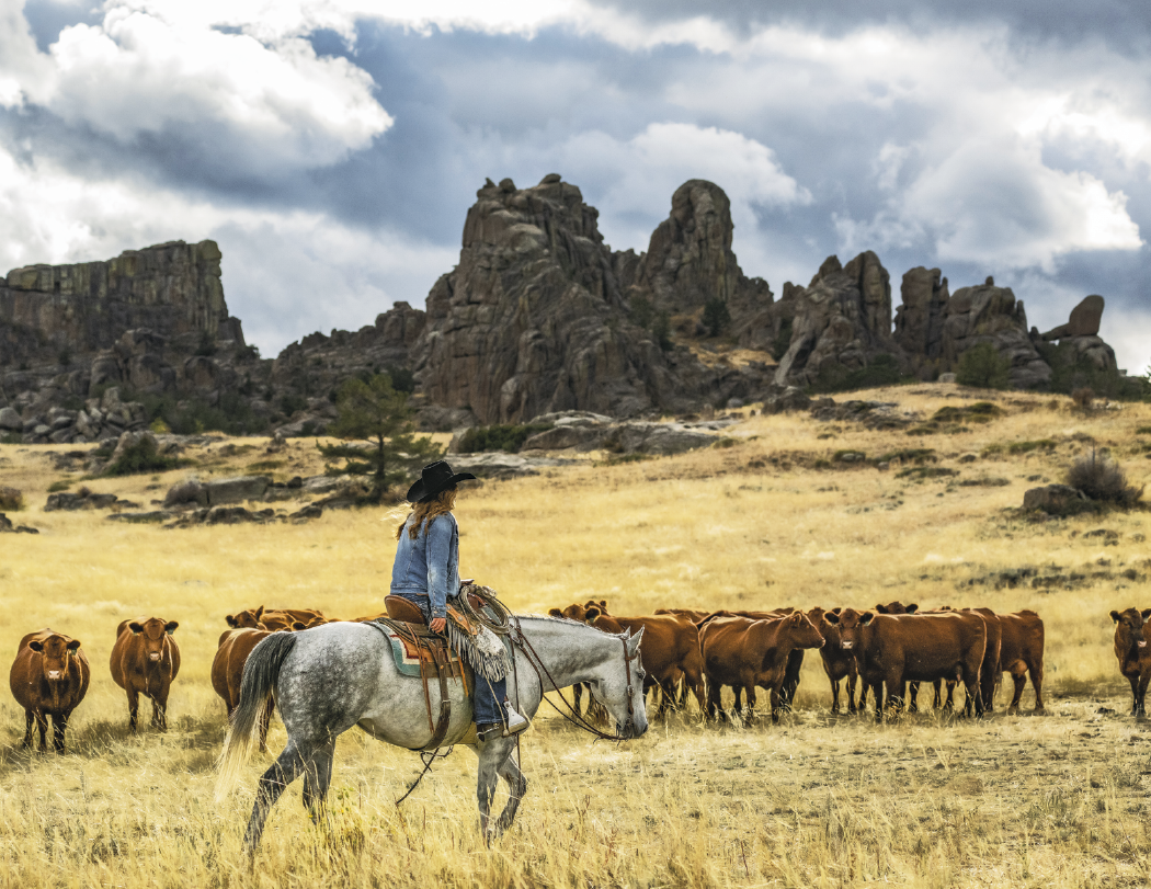 Triumph® Calendars Visions of the West Calendar 48