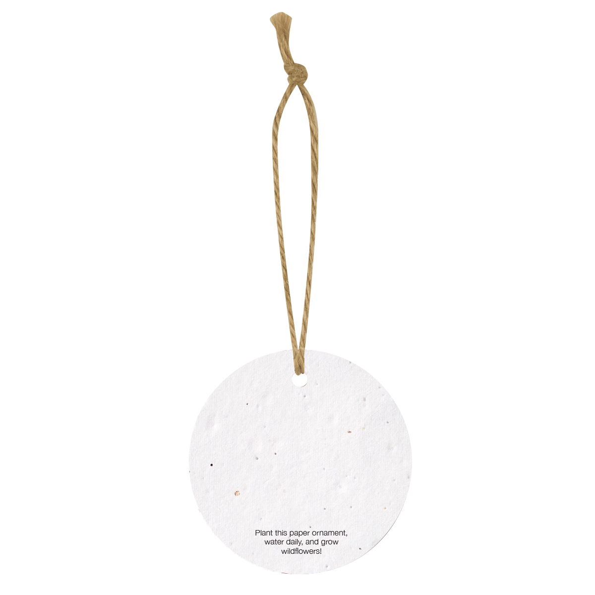 Bloomin® Circle Shaped Plantable Holiday Ornament 1