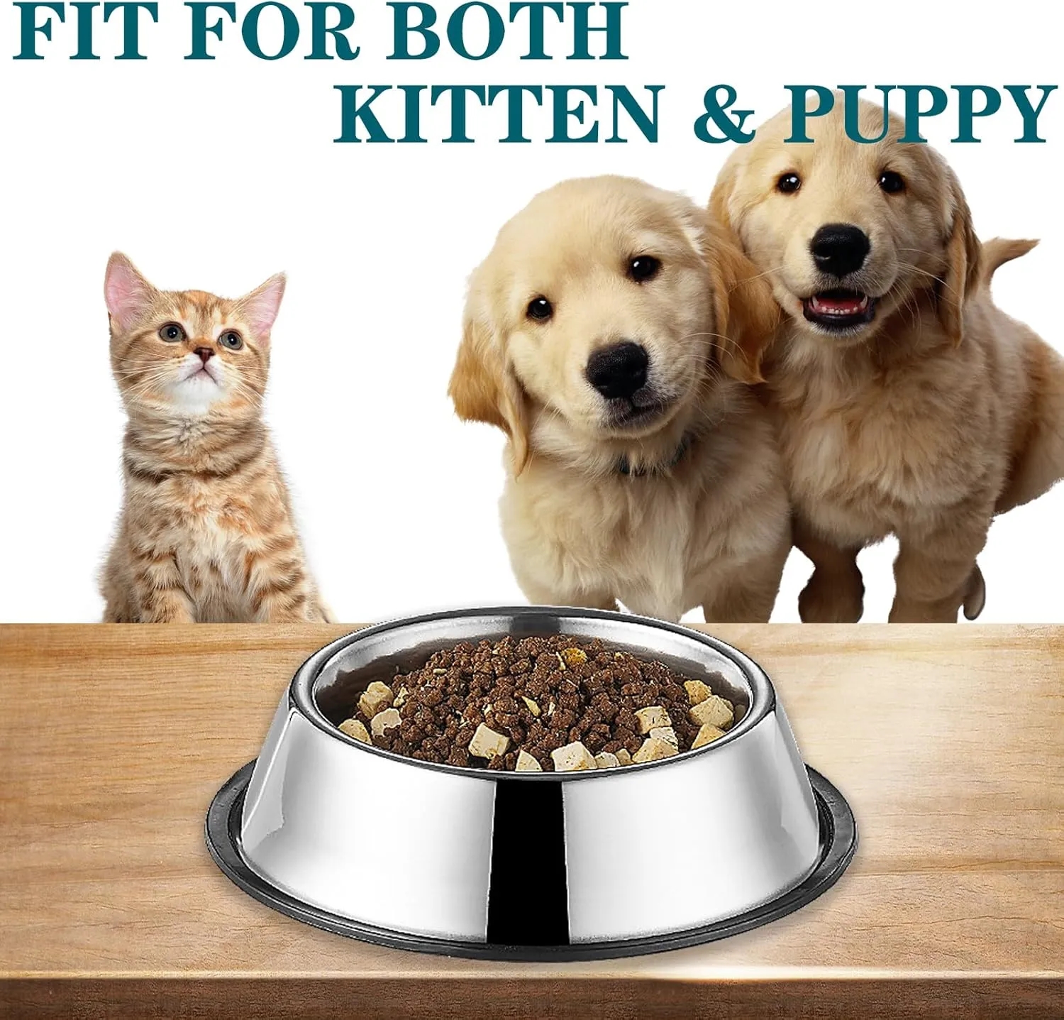 Pet Bowl 6