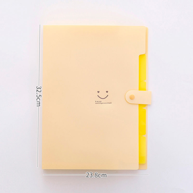 Colored Expanding File Folder 4