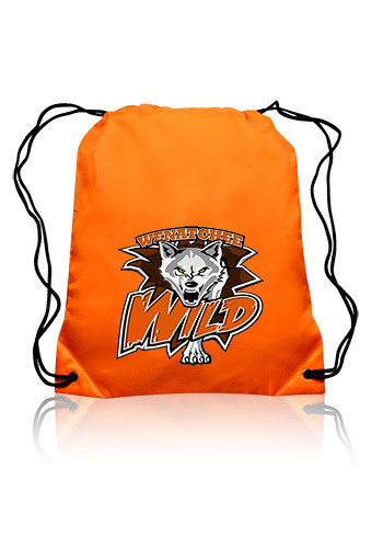 Classic Polyester Drawstring Bags 20