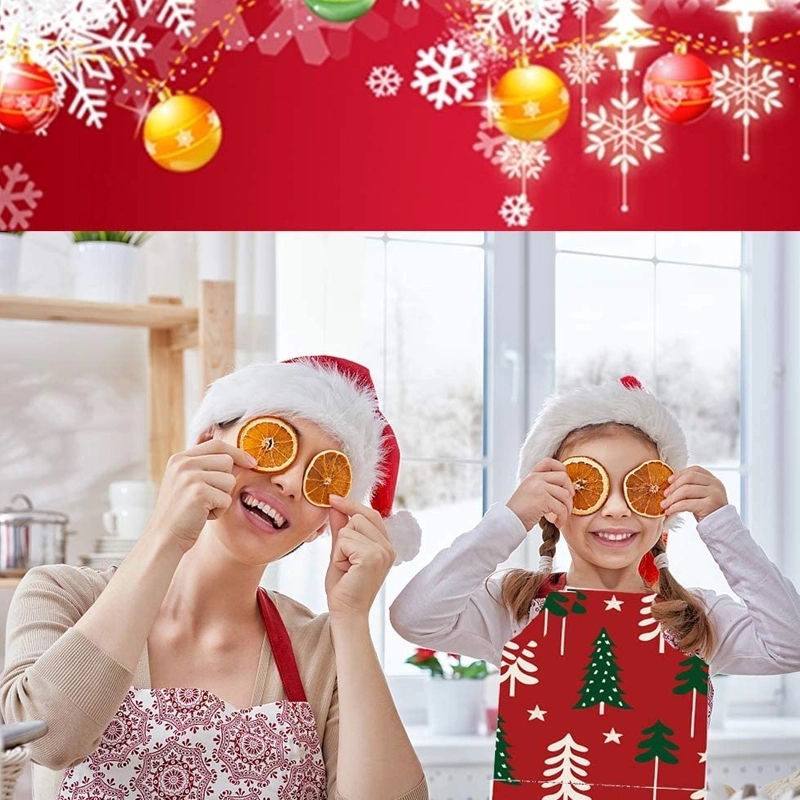 Chrismas Apron 4
